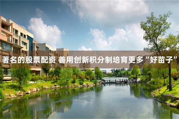 著名的股票配资 善用创新积分制培育更多“好苗子”
