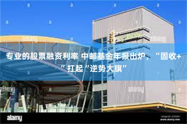 专业的股票融资利率 中邮基金年报出炉，“固收+”扛起“逆势大旗”