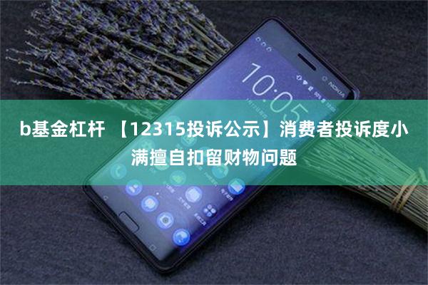 b基金杠杆 【12315投诉公示】消费者投诉度小满擅自扣留财物问题