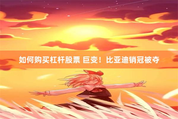 如何购买杠杆股票 巨变！比亚迪销冠被夺
