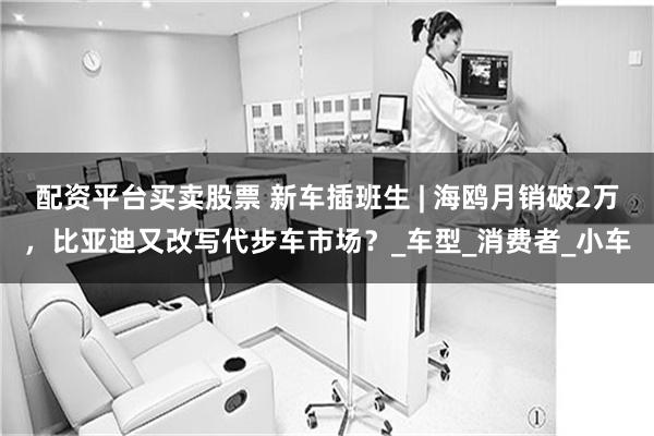 配资平台买卖股票 新车插班生 | 海鸥月销破2万，比亚迪又改写代步车市场？_车型_消费者_小车