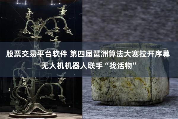 股票交易平台软件 第四届琶洲算法大赛拉开序幕 无人机机器人联手“找活物”
