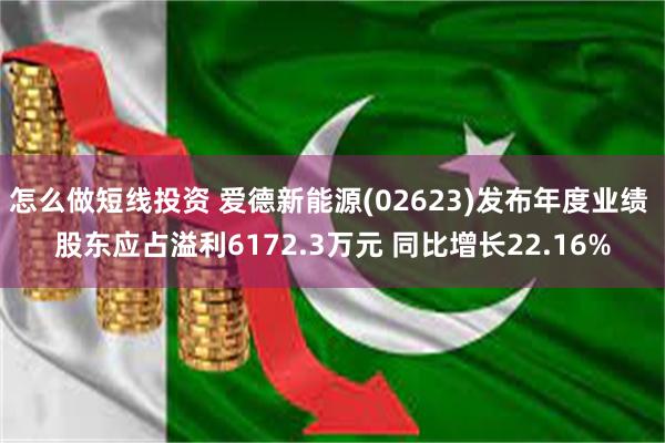 怎么做短线投资 爱德新能源(02623)发布年度业绩 股东应占溢利6172.3万元 同比增长22.16%