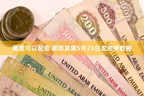哪里可以配资 廊坊发展5月23日龙虎榜数据