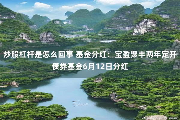 炒股杠杆是怎么回事 基金分红：宝盈聚丰两年定开债券基金6月12日分红