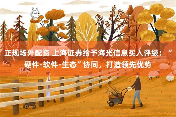 正规场外配资 上海证券给予海光信息买入评级：“硬件-软件-生态”协同，打造领先优势