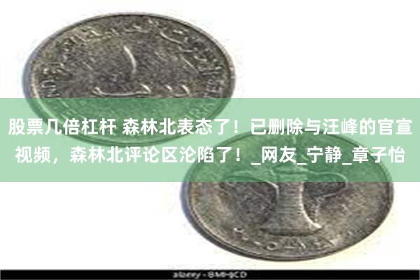 股票几倍杠杆 森林北表态了！已删除与汪峰的官宣视频，森林北评论区沦陷了！_网友_宁静_章子怡