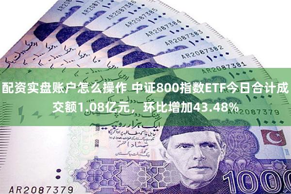 配资实盘账户怎么操作 中证800指数ETF今日合计成交额1.08亿元，环比增加43.48%