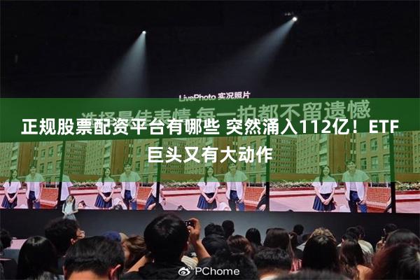 正规股票配资平台有哪些 突然涌入112亿！ETF巨头又有大动作